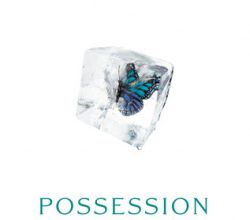 "Possession" d'Elana Johnson