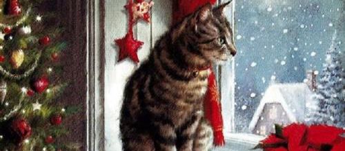 Cadeaux de Noël