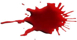 Je ne suis pas islamophobe