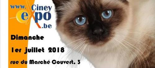 Les expos de Juillet : 