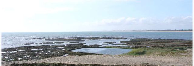 St Hilaire de Riez - Vendée (1/2)