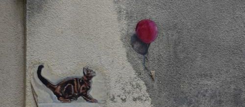 l'ombre d'un chat