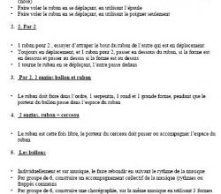 GRS Cycle 2 - compte rendu d'une anim péda