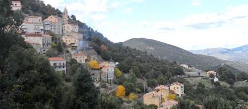 Mon village et la minette