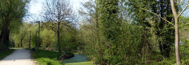 Le parc d'Alexandre Bonvallet 