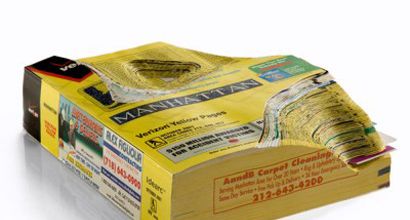 Maya Lin : Recycled Landscapes