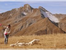 Au dessus du Col d'Allos #2