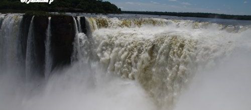 Voyage Brésil - Argentine (26) Chutes Iguazu 3
