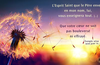 Homélie du 6e dim de Pâques -O Seigneur, envoie ton Esprit - 25 mai 2025