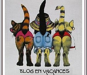 Blog en vacances