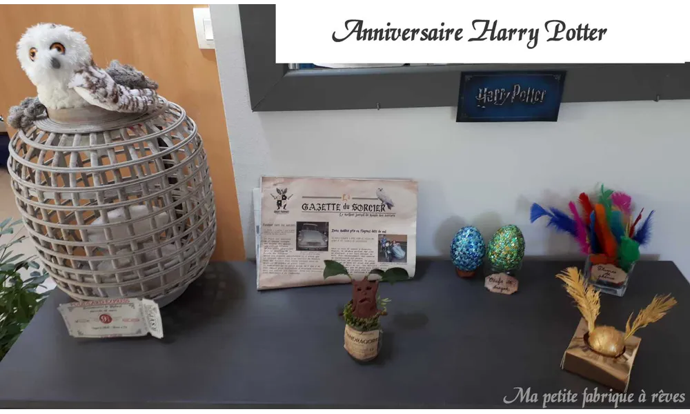 Anniversaire Harry Potter ; jour J 