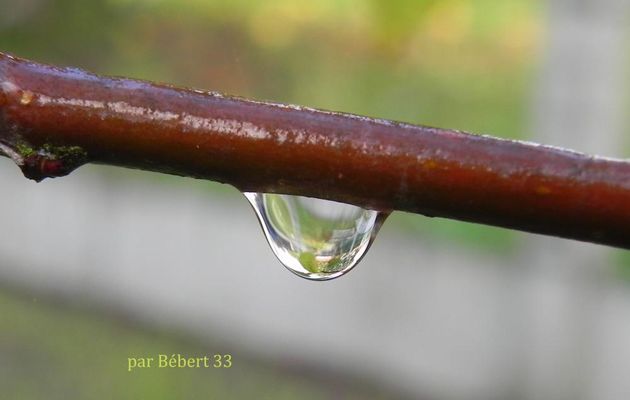 Mes gouttes d'eau !