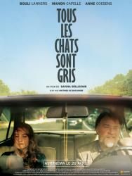 Critique: Tous les chats sont gris