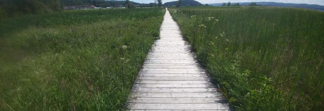 Tour du Québec: De Chicoutimi à Baie-Comeau