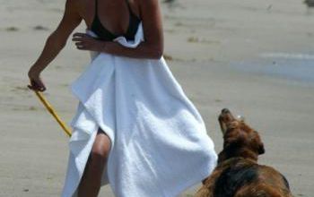 mode fashion