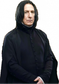 Un anniversaire "Harry Potter" (3ème partie)