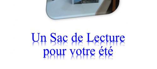 Les sacs de lecture mystères sont là...