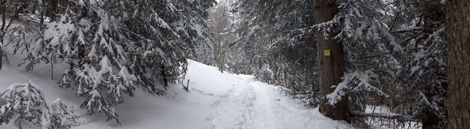 Brouillard sur les crêtes de l'Orionde