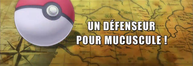 Pokémon - 18x08 - Un défenseur pour Mucuscule !