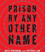 [Kindle] Prison by Any Other Name: The Harmful Consequences of Popular Reforms download