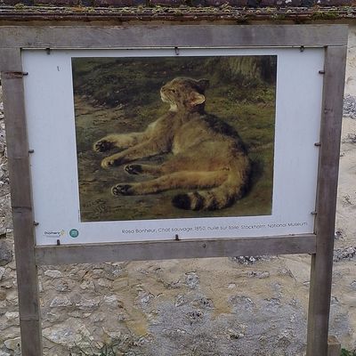 Deux randonnées en Seine et Marne