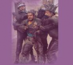 Les paillasses de Cournonterral