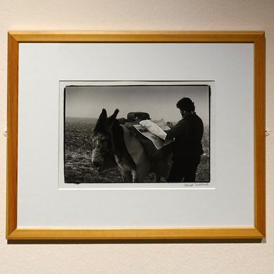 À la rencontre de Marcel Imsand