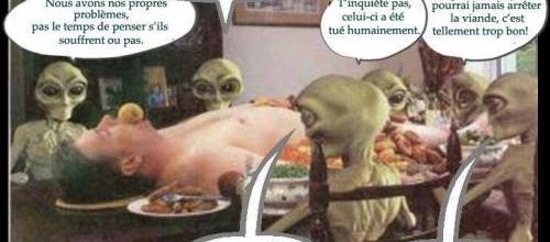 Ce que nous sommes devenus...