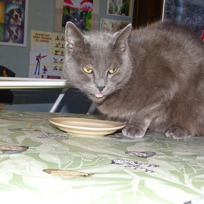 Il pleut et ça mouille!