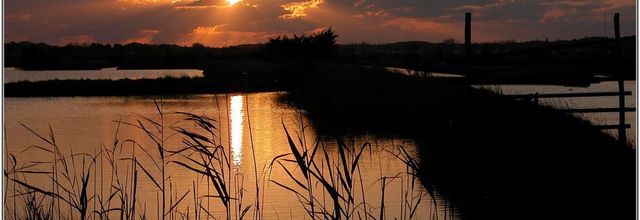 85 . Vendée - L'île d'Olonne (1) - Coucher de soleil sur les marais