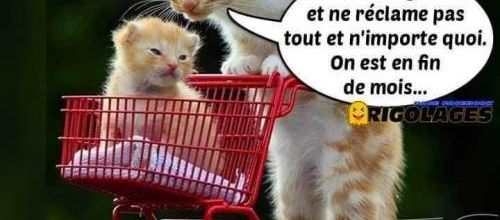  les Char-mants 