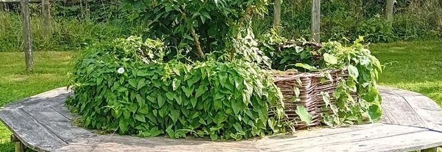  le relec et son potager 