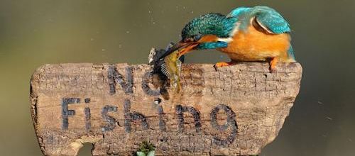 Bientôt l'ouverture...!!!!!
