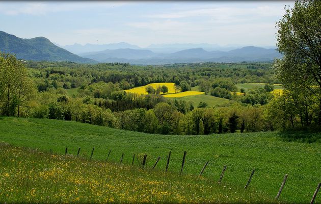 En montant vers la Biche