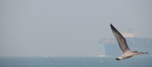 Eugen Maersk