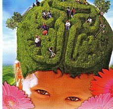 NEURODON 2011