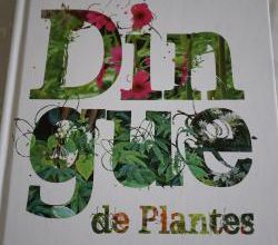 Dingue de Plantes