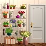 Amajeto - Flower Shed