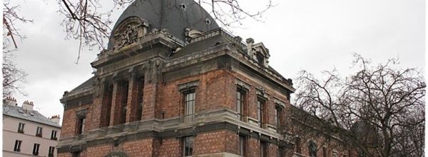 Attaque à la tronçonneuse de l'éléphant de Louis XIV au Muséum national d'Histoire Naturelle de Paris