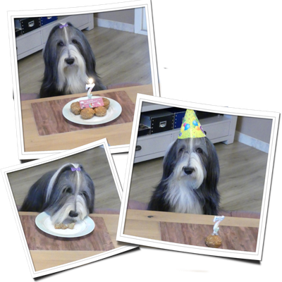 ♥ Joyeux Anniversaire ma Tavia ♥ 