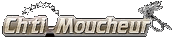 Le CHTI MOUCHEUR