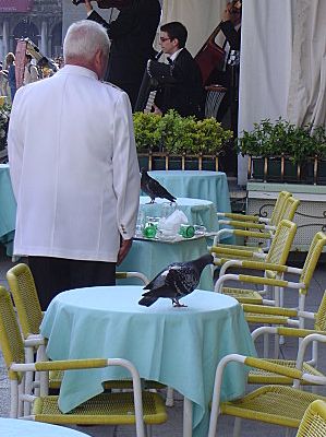 Venise 7