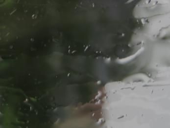Coucou du haïku : Pluie