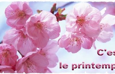 C'est le printemps - confinement jour 4