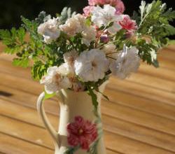 Quelques fleurs