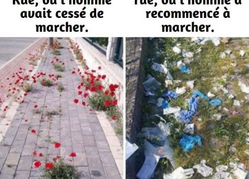 Le syndrome de la cabane
