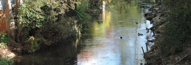 Reflets à Chatillon sur Indre