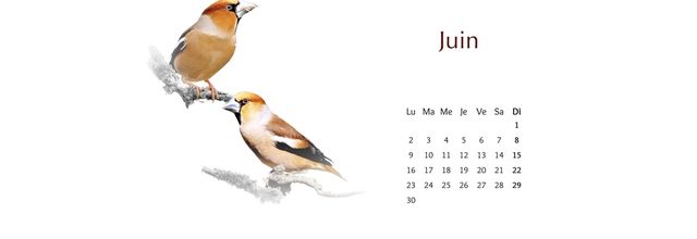 Le calendrier Loxiafilms