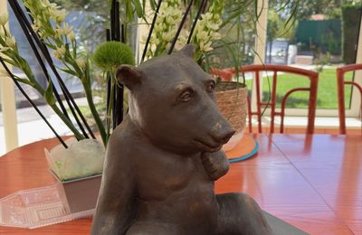 GROS OURS BRUN