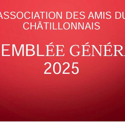 L'Association des "Amis du Châtillonnais " a de nombreux projets pour 2025